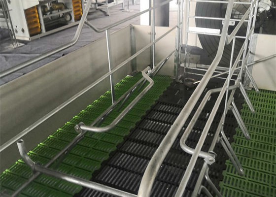 chất lượng  Fabricated Prefab Steel Structure Pig House Galvanised Industrial nhà máy sản xuất