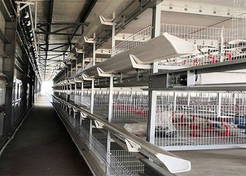 Nhà gà tiền chế kết cấu thép OEM / ODM