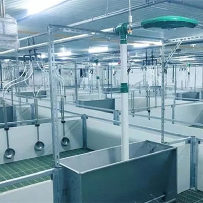 Kết cấu thép nhẹ Nhà lợn Công trình nông nghiệp Prefab mạ kẽm