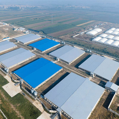 Kết cấu thép nhẹ Trang trại gia cầm bằng thép chống cháy GB
