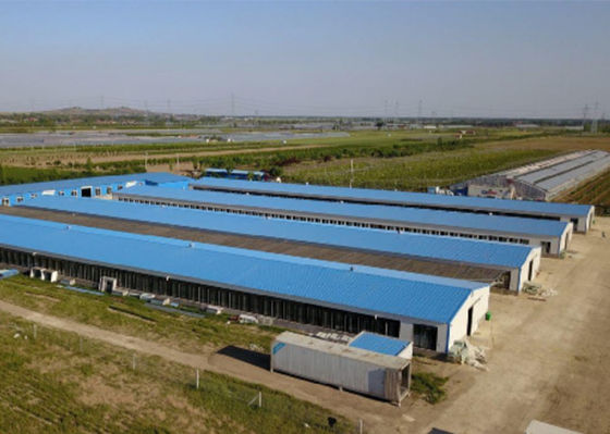 Kết cấu thép mạ kẽm Nhà gia cầm Nhà thép chống gió