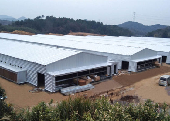 Trang trại kết cấu thép mạ kẽm Chuồng gà khung thép chống gió