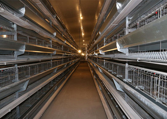 Trang trại kết cấu thép mạ kẽm Chuồng gà khung thép chống gió