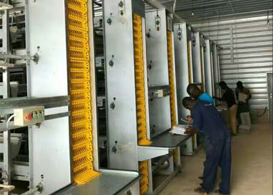 Q235B / Q355B Kết cấu thép Trang trại Gà chống cháy GB
