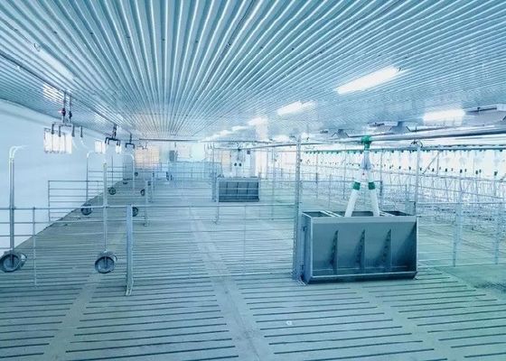 Kết cấu thép chống gió Cổng nhà lợn Khung thép tiền chế ISO9001