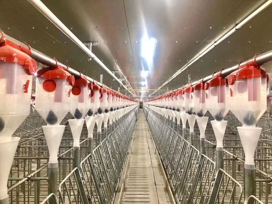 Kết cấu thép chống gió Cổng nhà lợn Khung thép tiền chế ISO9001