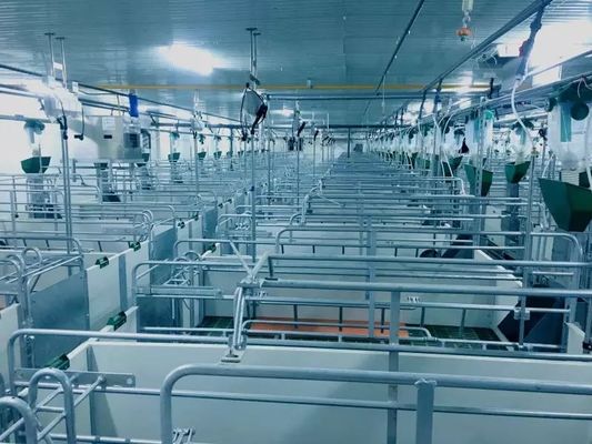 Kết cấu thép chống gió Cổng nhà lợn Khung thép tiền chế ISO9001