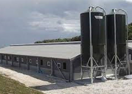 Kết cấu khung cổng thép Prefab Xây dựng nhà lợn chống gió