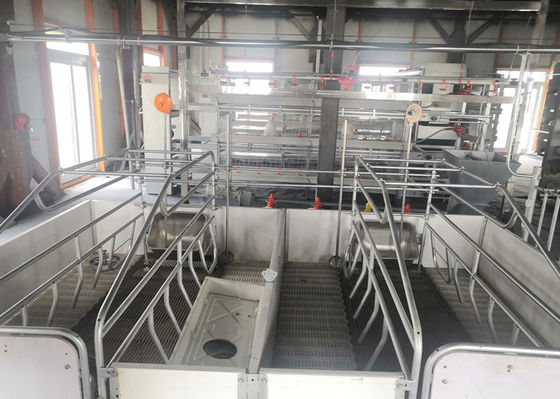 Kết cấu khung cổng thép Prefab Xây dựng nhà lợn chống gió