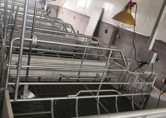 Kết cấu khung cổng thép Prefab Xây dựng nhà lợn chống gió