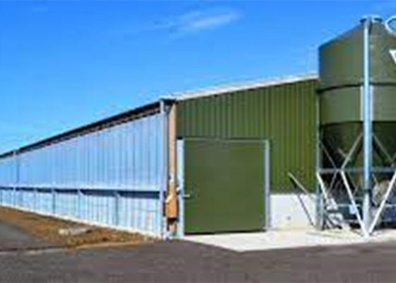 Kết cấu khung cổng thép Prefab Xây dựng nhà lợn chống gió
