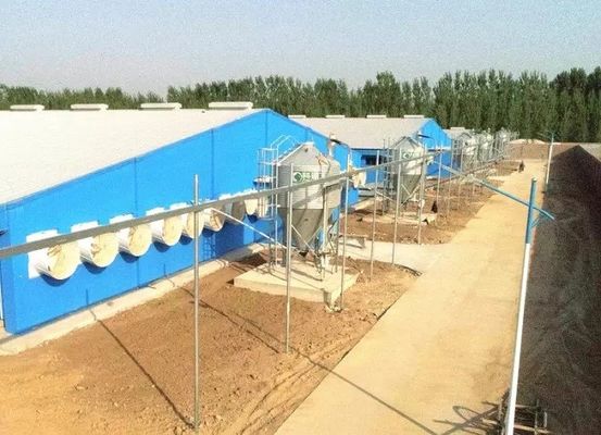 OEM / ODM Kết cấu thép Nhà lợn Tòa nhà trang trại Prefab chống cháy