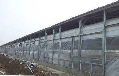 OEM / ODM Kết cấu thép Nhà lợn Tòa nhà trang trại Prefab chống cháy