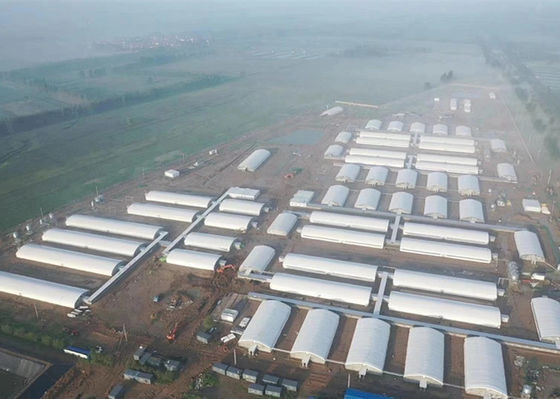 Q355 / Q235 Kết cấu thép Nhà lợn Nhà thép công nghiệp chống cháy