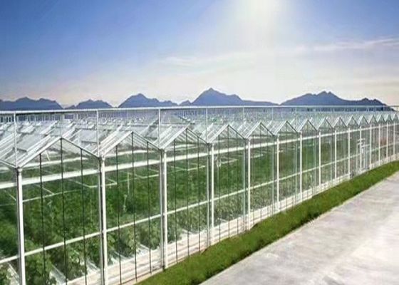 Daman Venlo Glass Nhà kính Trồng hàng loạt cà chua Mạ kẽm nhúng nóng