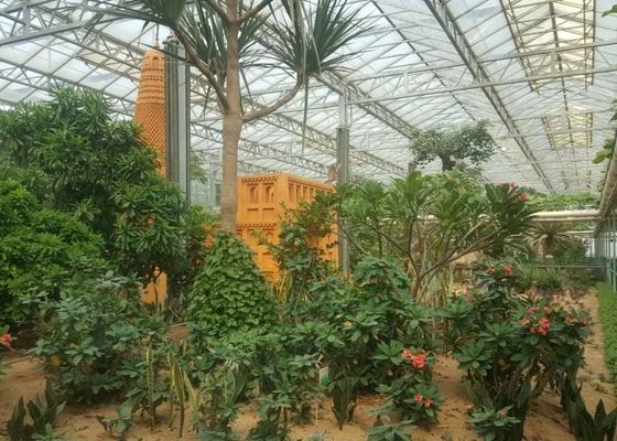 Vườn thực vật xanh Nhà kính cường lực cho hoa trang trí lớn