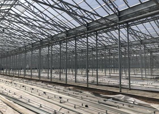 Vườn thực vật xanh Nhà kính cường lực cho hoa trang trí lớn