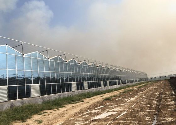 Vườn thực vật xanh Nhà kính cường lực cho hoa trang trí lớn