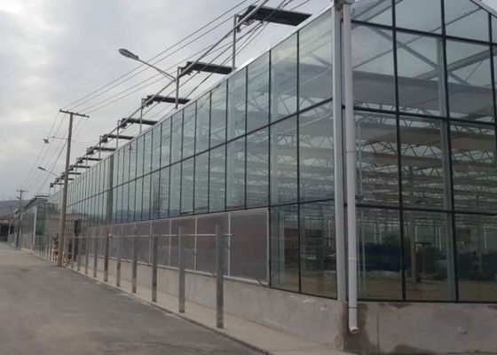 Ống mạ kẽm cao cấp Nhà kính bao phủ thương mại