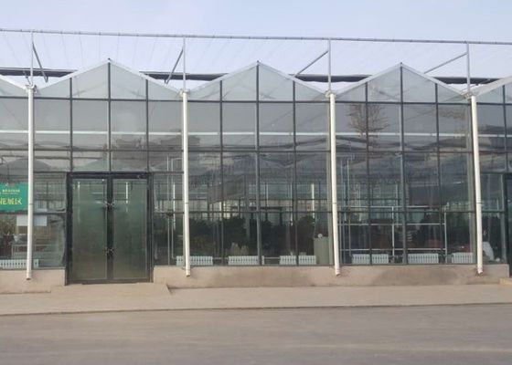 Thương mại ống mạ kẽm nhà kính kính Venlo cao cấp