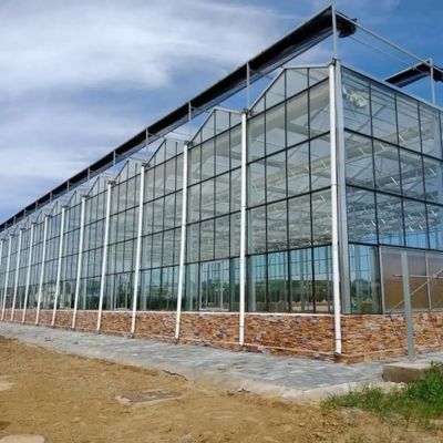 Trồng rau Văn hóa không đất Trồng thủy tinh trong nhà kính nhiều lớp