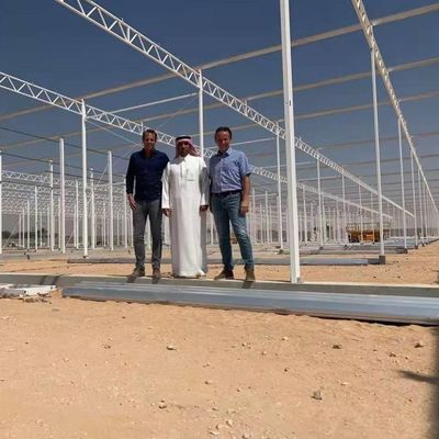 Trồng rau Văn hóa không đất Trồng thủy tinh trong nhà kính nhiều lớp