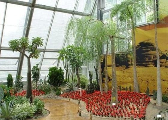 Khu vườn mùa đông Phòng ánh sáng mặt trời Nhà kính Venlo bằng thép nhỏ được đặt lại