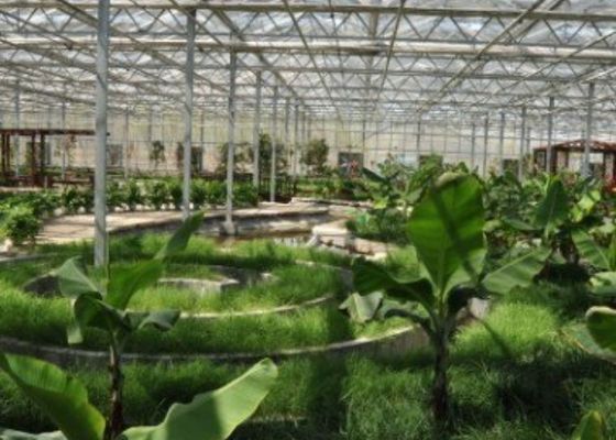Nhà hàng nhà kính tham quan ống mạ kẽm Hình dạng tùy chỉnh 4600㎡