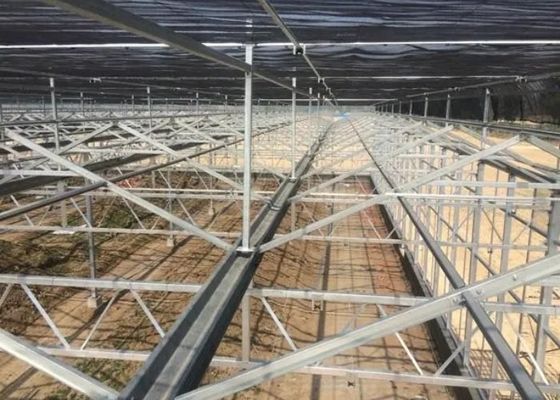 Tham quan Nhà kính kính Venlo Nhà kính bao phủ kính hình dạng tùy chỉnh