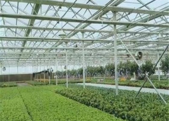 Nhà kính cây giống thủy tinh có hình dạng tùy chỉnh / Chăn nuôi trong vườn ươm / Giường gieo hạt có thể di chuyển