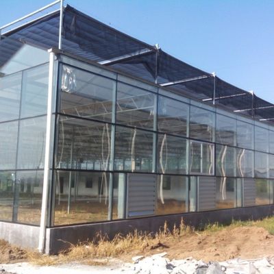 Nhà kính trồng rau thủy tinh có năng suất cao cho cà chua / dưa chuột