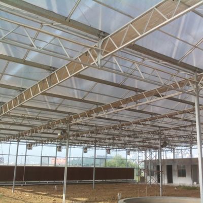 Nhà kính trồng rau thủy tinh có năng suất cao cho cà chua / dưa chuột