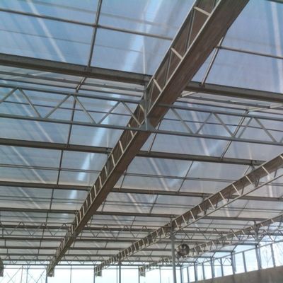 Nhà kính trồng rau thủy tinh có năng suất cao cho cà chua / dưa chuột