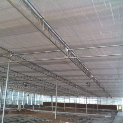 Nhà kính trồng rau thủy tinh có năng suất cao cho cà chua / dưa chuột