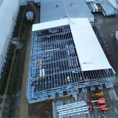 Q355/ Q235 Xây dựng xưởng thép với tùy chọn và cách điện