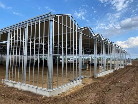 Nhà kính kính tham quan Venluo - Nhà kính trồng rau quy mô lớn