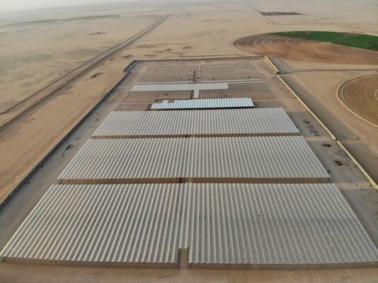 Sử dụng trồng trọt nông nghiệp, Wannuo nhà kính kính du lịch