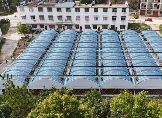 Một nhà kính phim polyethylene kéo dài liên tục được sử dụng để tăng năng suất rau và tăng tốc quá trình chín của rau