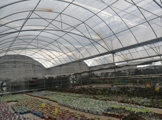 Một nhà kính phim polyethylene kéo dài liên tục được sử dụng để tăng năng suất rau và tăng tốc quá trình chín của rau