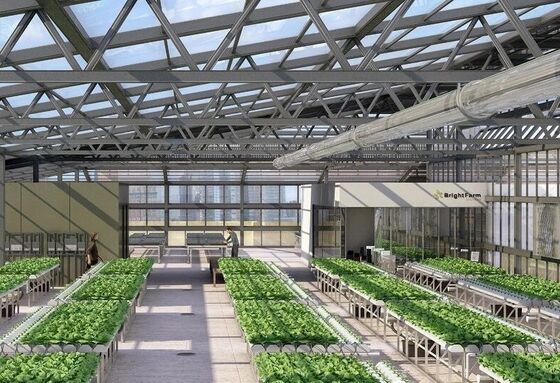 Nhà kính kính du lịch Wenlu - Nhà kính trồng trái cây quy mô lớn