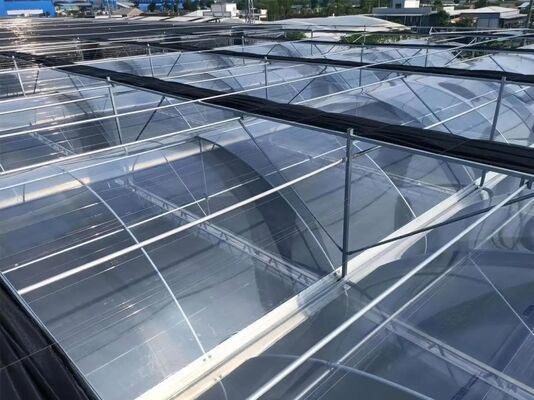 Nhà kính kính du lịch Wenlu - Nhà kính trồng trái cây quy mô lớn