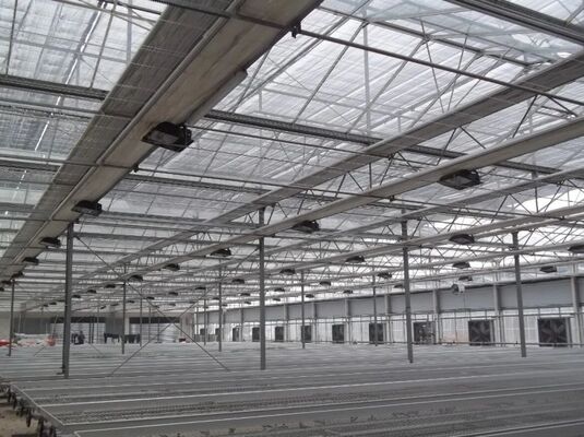 Nhà kính trồng trái cây, nhà kính kính tham quan lớn Woonloos